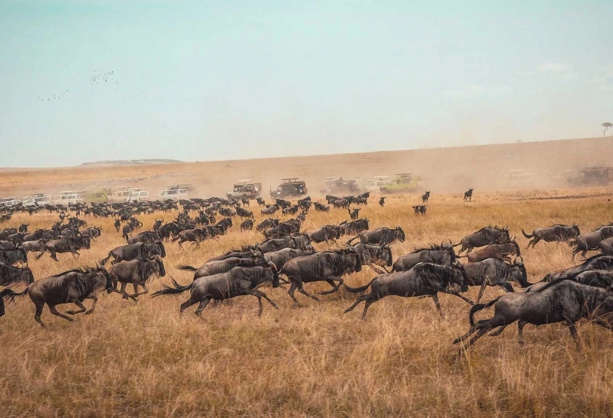 5 Days Tanzania Safari and Zanzibar Beach Holiday 4
