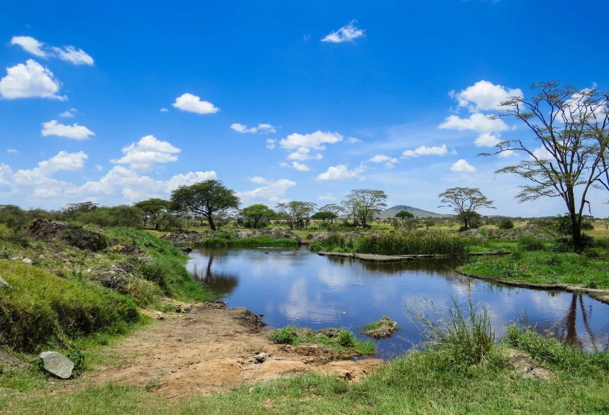 5 Days Tanzania Safari and Zanzibar Beach Holiday 7
