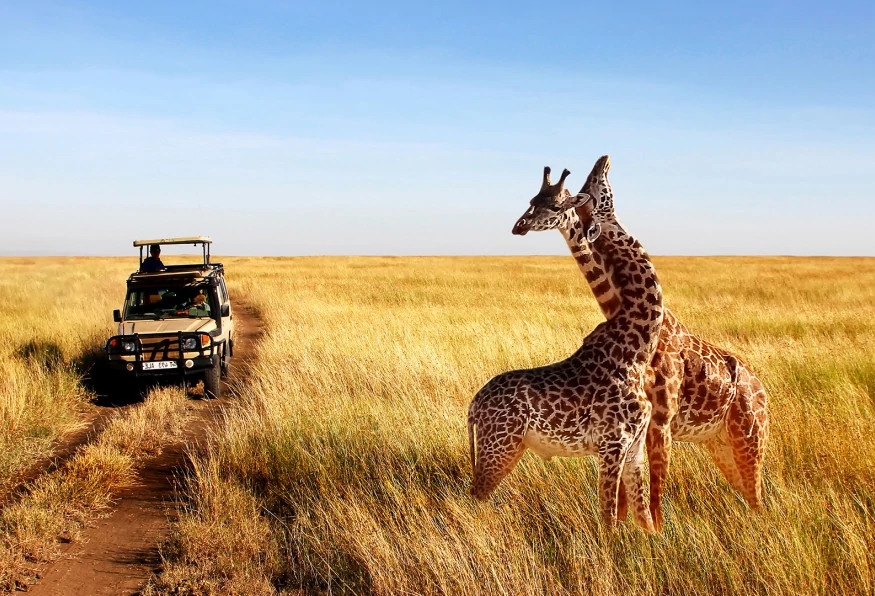 5 Days Tanzania Safari and Zanzibar Beach Holiday 9