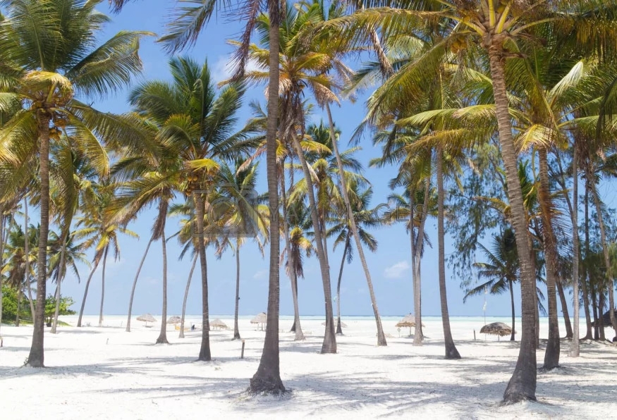 5 Days Tanzania Safari and Zanzibar Beach Holiday 21