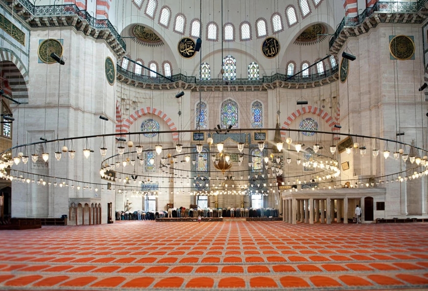 Image 7