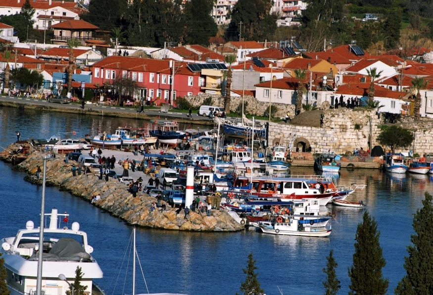 Image 11