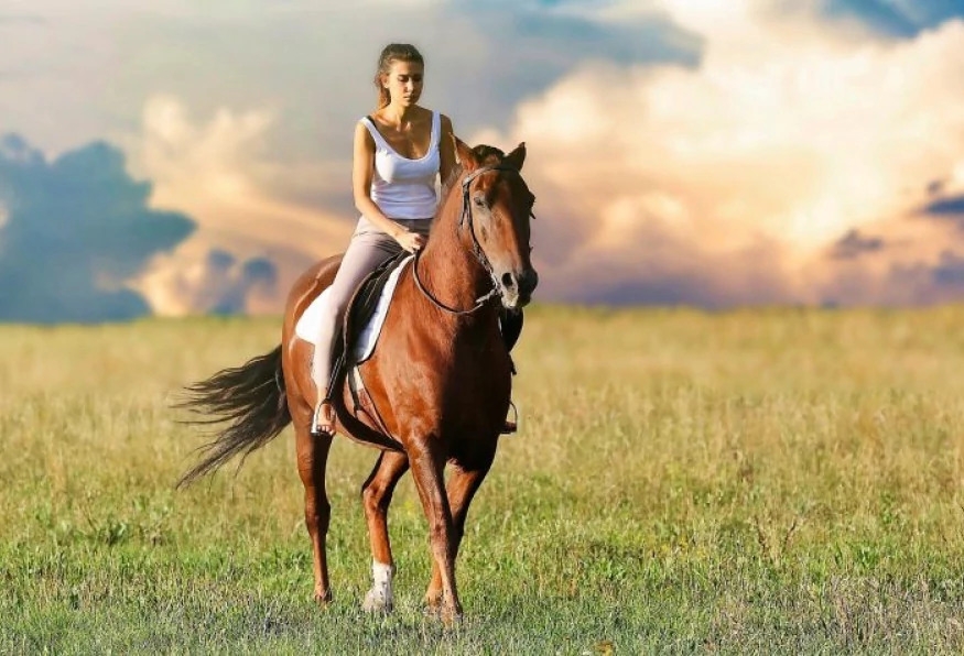 Daily Horseback Riding in Marmaris 4