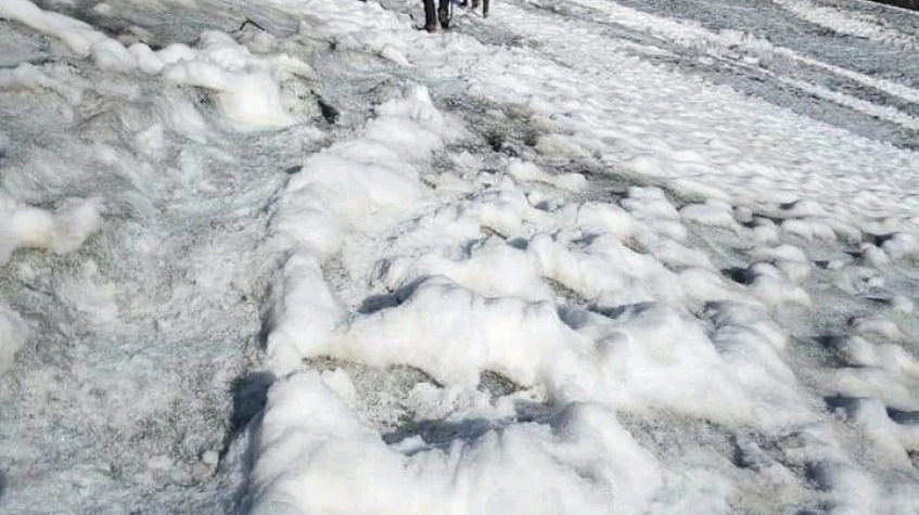 8 Days Rwenzori Mountain Trekking Expeditions 2