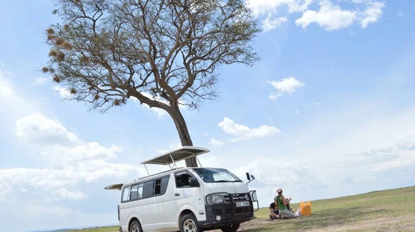 10 Days Safari & Beach Package 6