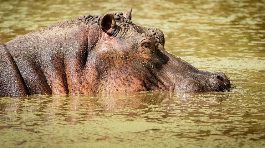 7 Days Best of Tanzania Safari 6