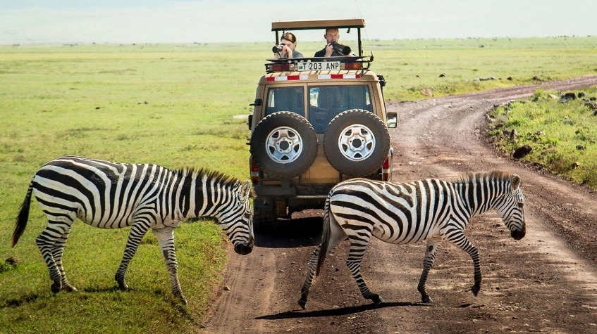 7 Days Best of Tanzania Safari 9