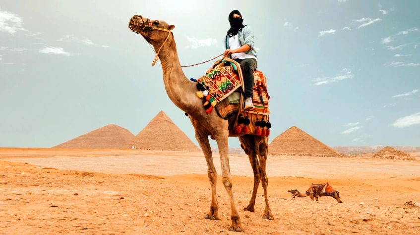 Half Day Tour to Giza Pyramids and Sphinx 4
