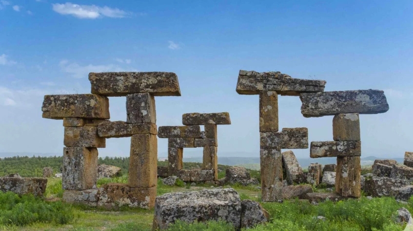Image 10