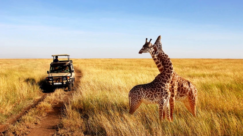8 Days Big Five Safari 8