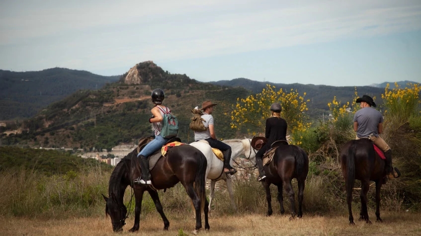 Daily Horse Riding Tour Departing from Alanya 4
