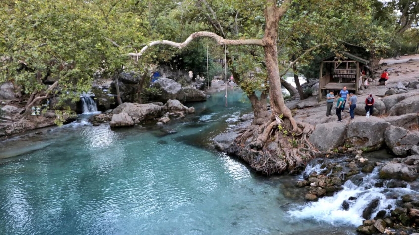 Image 10