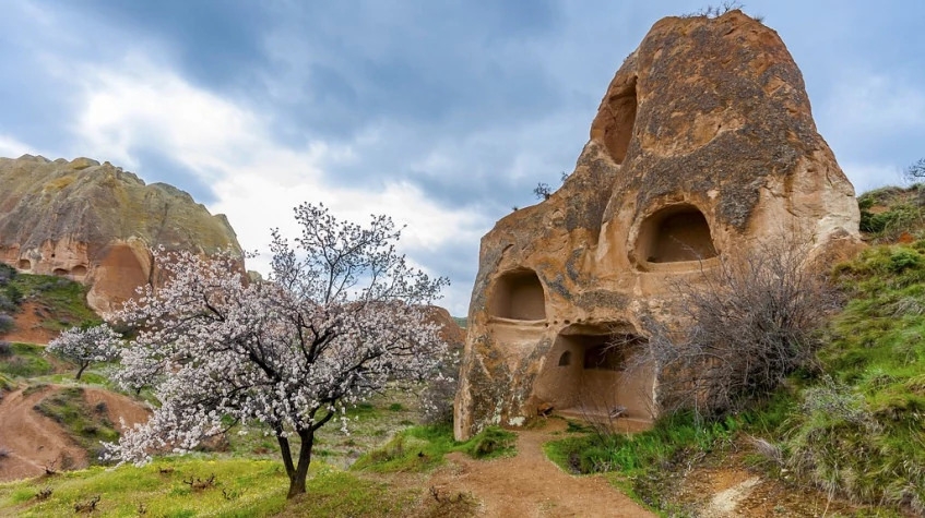 Daily Ozkonak Underground City Tour 8