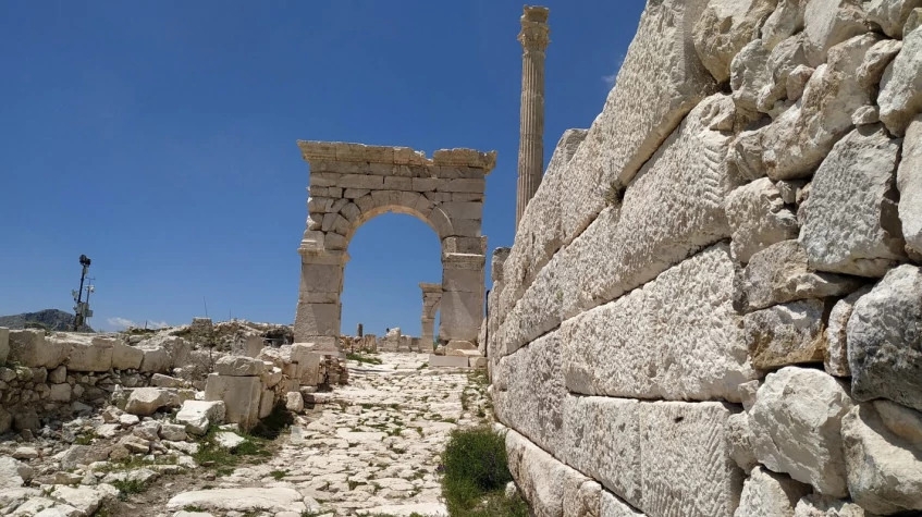 Image 11