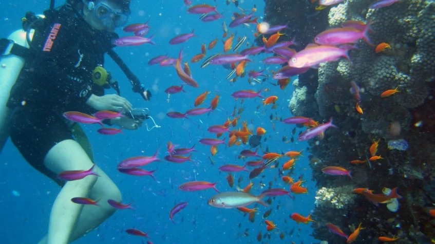 Daily Scuba Diving Tour from Manavgat 1