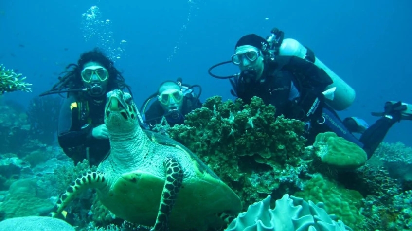 Daily Scuba Diving Tour from Manavgat 2