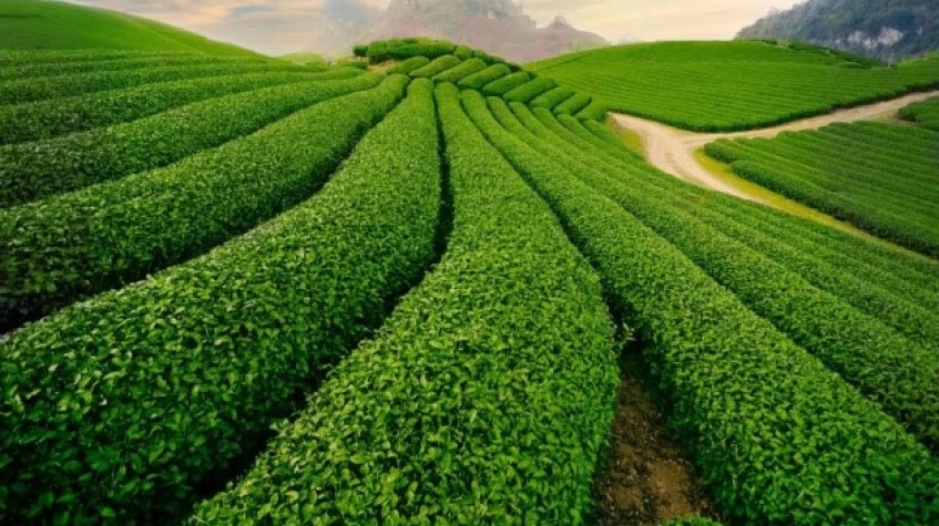 6 Days the North West Loop of Vietnam Tour 2