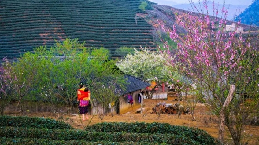 6 Days the North West Loop of Vietnam Tour 3