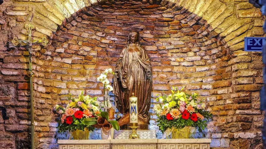 Image 11