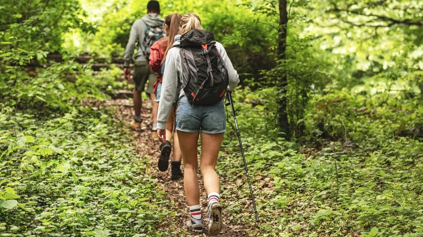 Daily Duzce Zipline & Trekking Tour 10