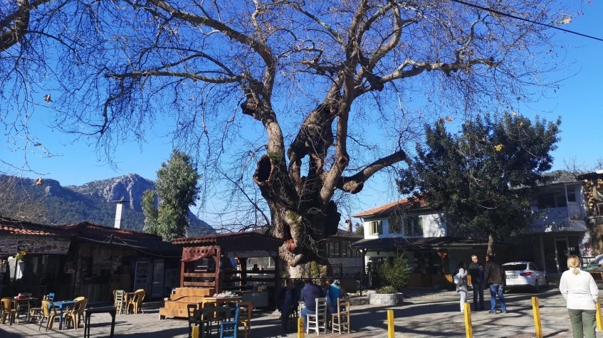 Daily Turkish Village Tour Marmaris 11
