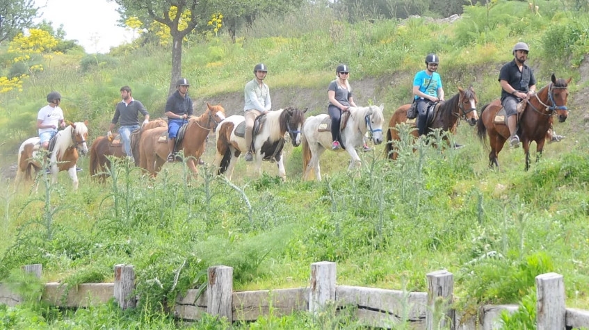 Daily Didim Horse Safari Tour 5