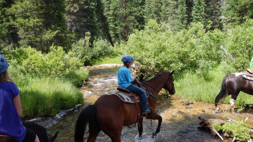 Daily Didim Horse Safari Tour 6