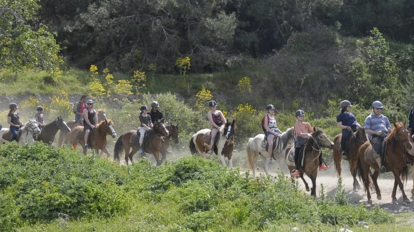 Daily Didim Horse Safari Tour 7