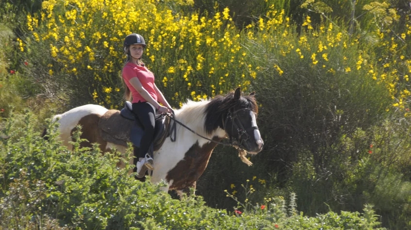 Daily Didim Horse Safari Tour 9