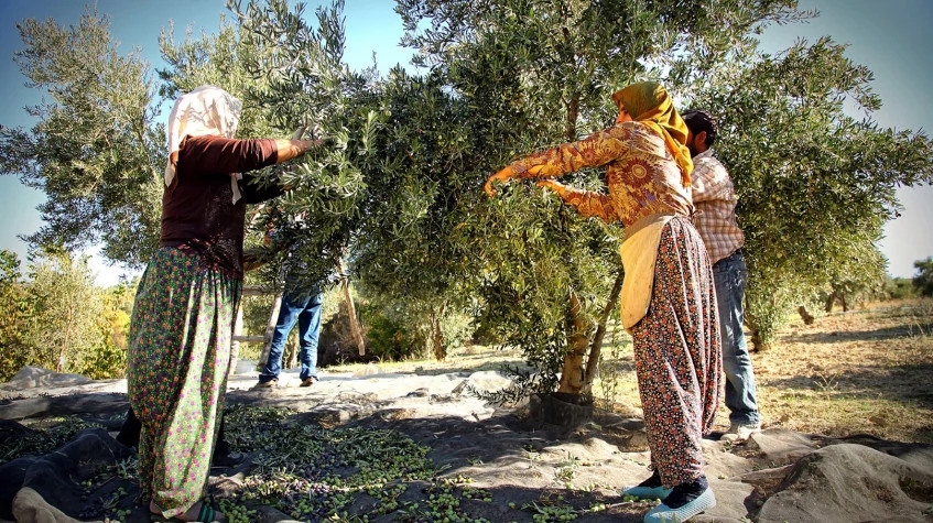 Daily Antakya City Tour 8