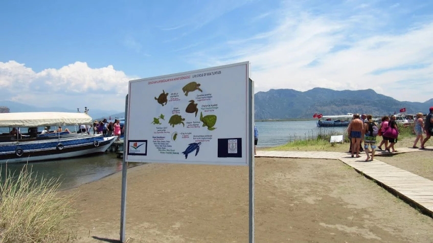 Daily Dalyan City Tour 6