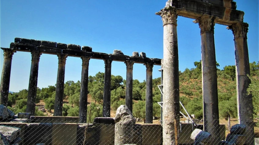 Daily Iasos and Euromos Tour from Didim 3
