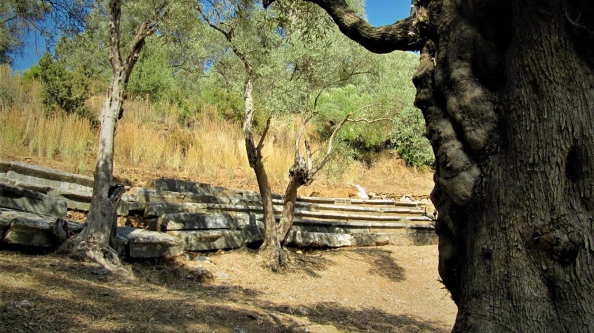 Daily Iasos and Euromos Tour from Didim 5