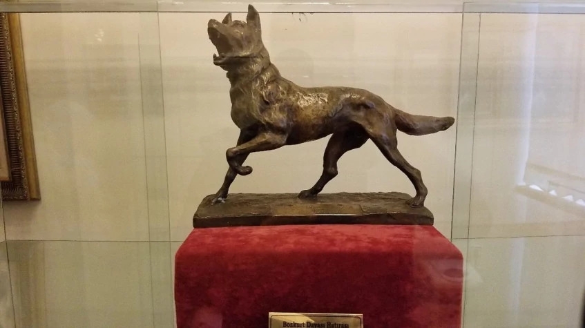 Daily Samsun Gazi Museum Tour 4