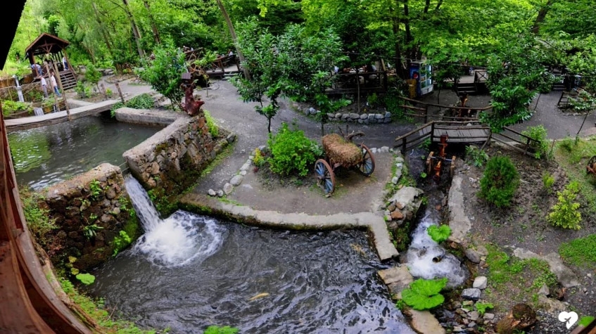 Daily Sapanca Masukiye Tour from Kocaeli 7