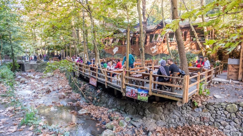 Daily Sapanca Masukiye Tour from Kocaeli 10