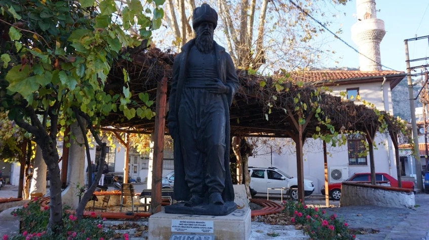 Image 5