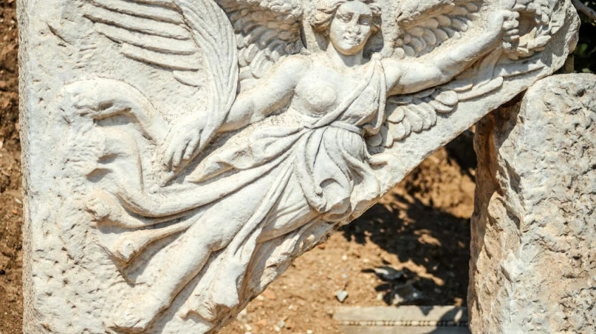 Image 4