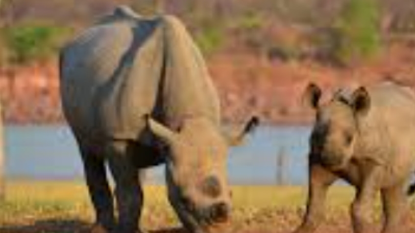 Zimbabwe Matopos Park 3 Nights 4 Days Tour 2