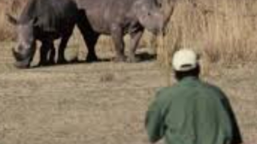 Zimbabwe Matopos Park 3 Nights 4 Days Tour 7
