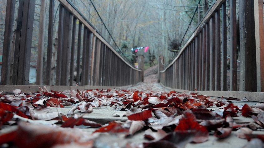 7 Days Healthy Thermal Wellness Turkey Tour 14