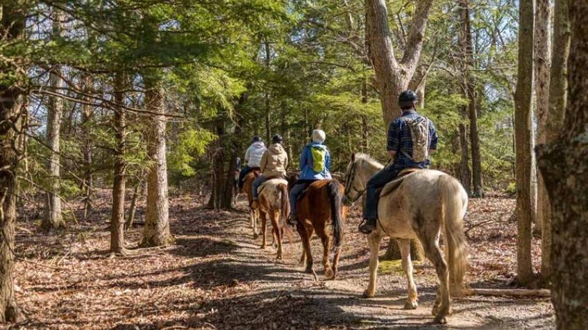 7 Days Horse Riding Package Istanbul Tour 3