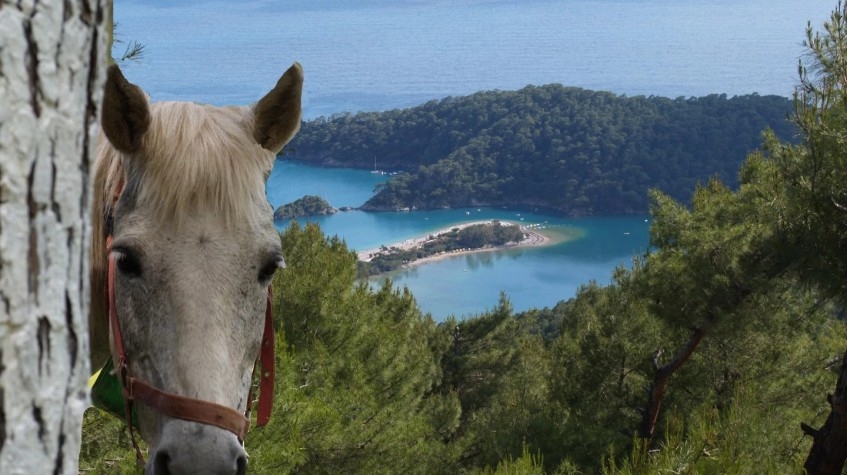 14 Days Bodrum Fethiye Olympos Tour 24
