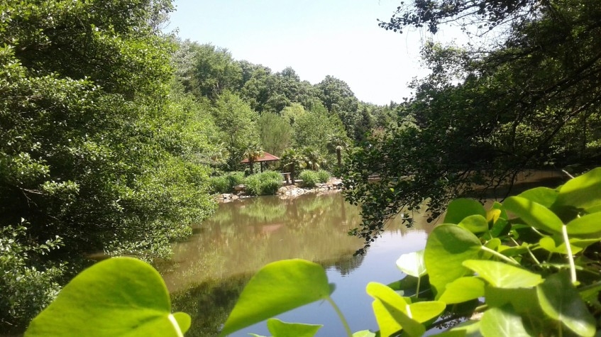 Polonezköy Village Day Tour – Nature, History & Traditional Turkish-Polish Culture 2