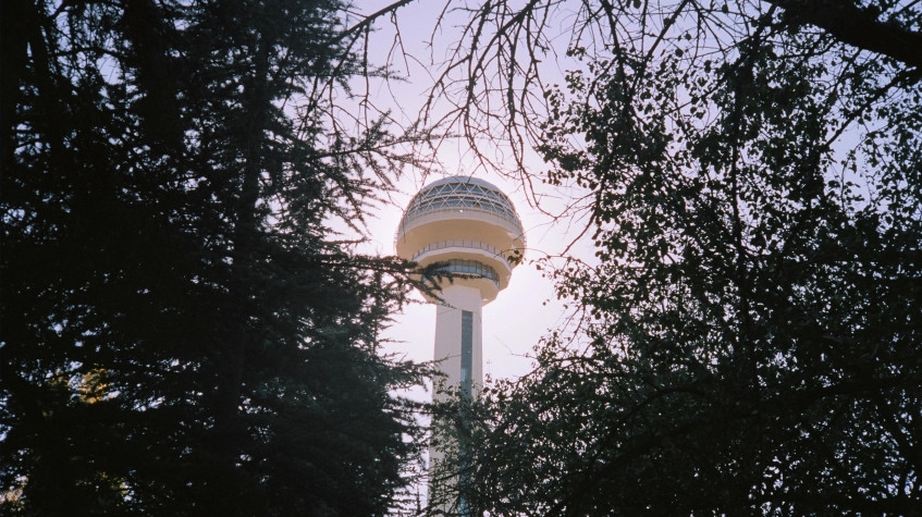 Image 15