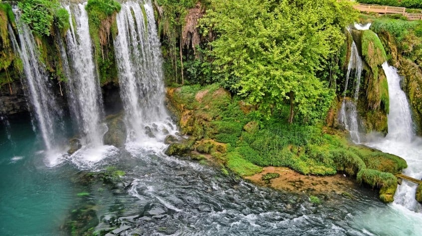 7 Days Hunting Wild Boar Package Antalya 5