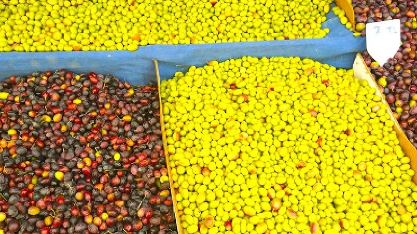 Bodrum Turgutreis Market Tour 2