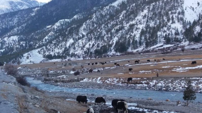 Annapurna Circuit Trek 8 Days 9