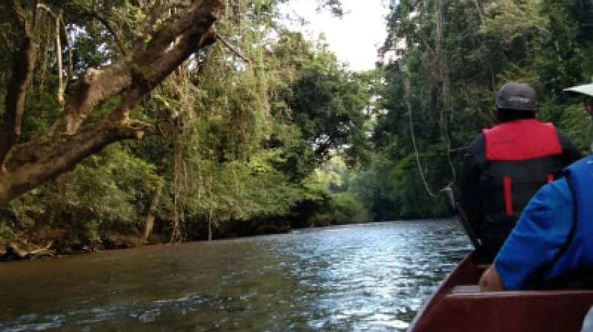 P 27 2D 1N Tour Rainforest Taman Negara + Night Jungle Walk 1