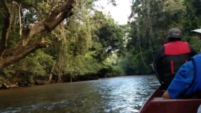 P 27 2D 1N Tour Rainforest Taman Negara + Night Jungle Walk